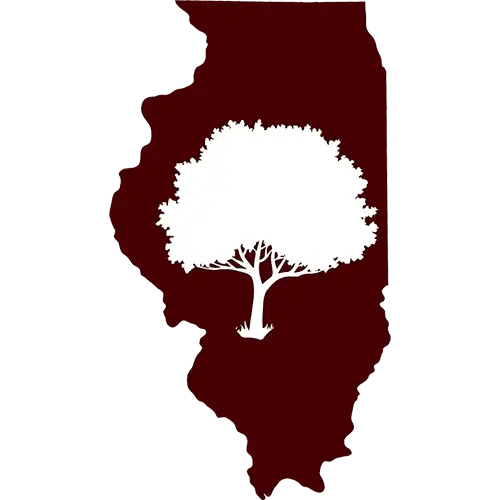 Paul Tree Farms LLC - Illinois-Grown Trees - Pleasant Plains, IL