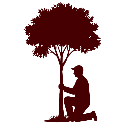 Paul Tree Farms LLC - Start-to-Finish tree Service - Pleasant Plains, IL