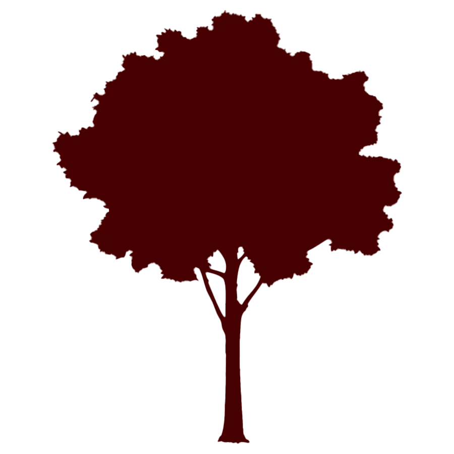 Paul Tree Farms LLC - Mature, High-Quality Trees - Pleasant Plains, IL