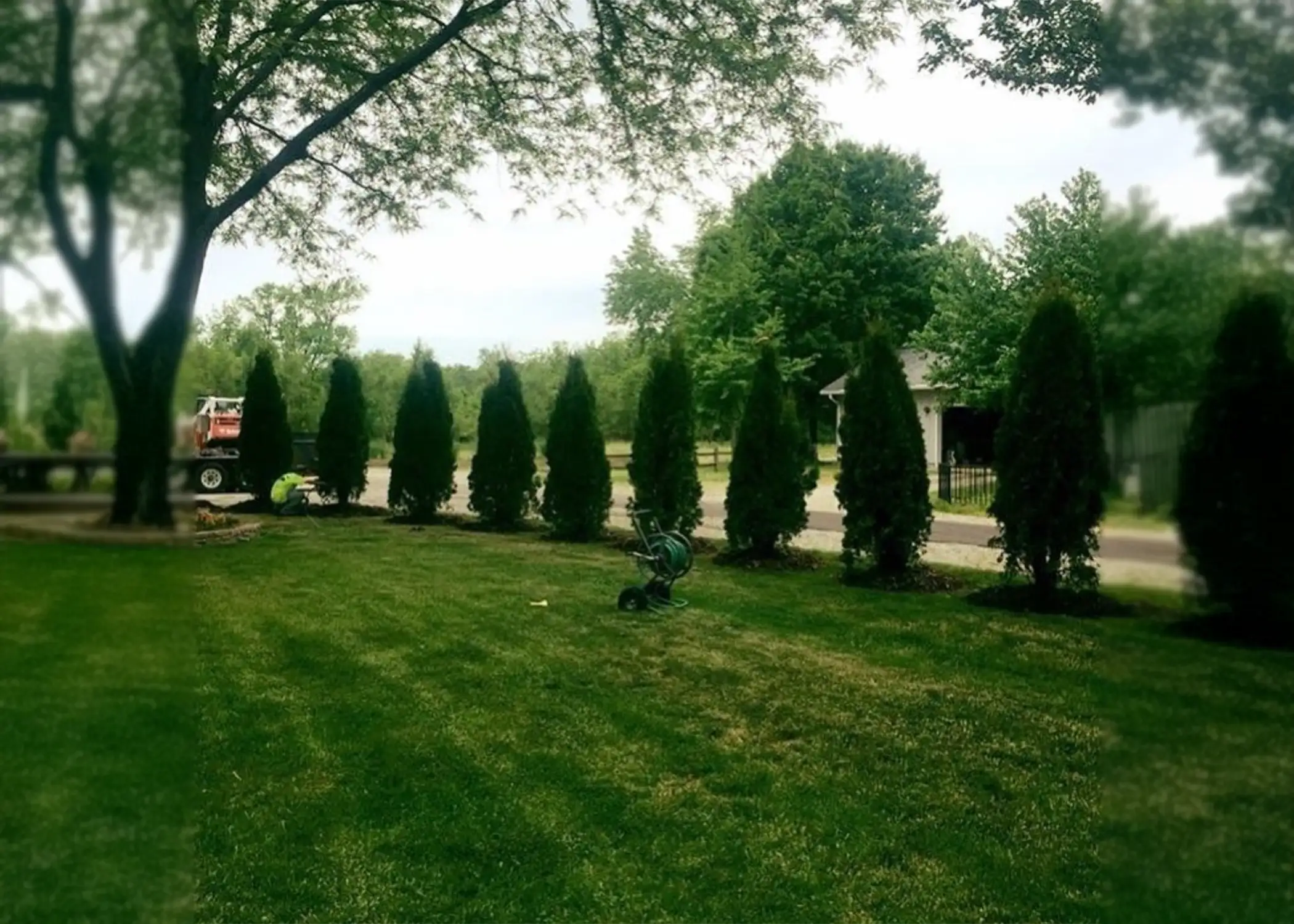 A curving row of tall, dark-green Emerald Green Arborvitae view block trees creates a graceful privacy border along a residential driveway edge, with a planting crew and truck visible in the background — installed by Paul Tree Farms in Pleasant Plains, IL