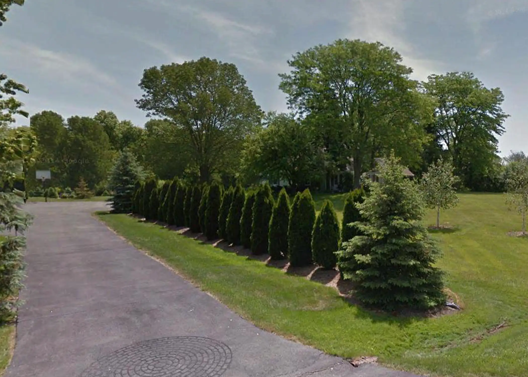 A long, mature hedge of Arborvitae view block trees lines a paved driveway leading to a large estate home, complemented by a Blue Spruce accent tree — a classic privacy planting available from Paul Tree Farms in Pleasant Plains, IL